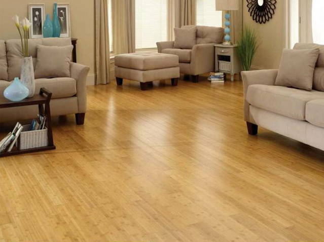 Bamboo Flooring Review Pros And Cons